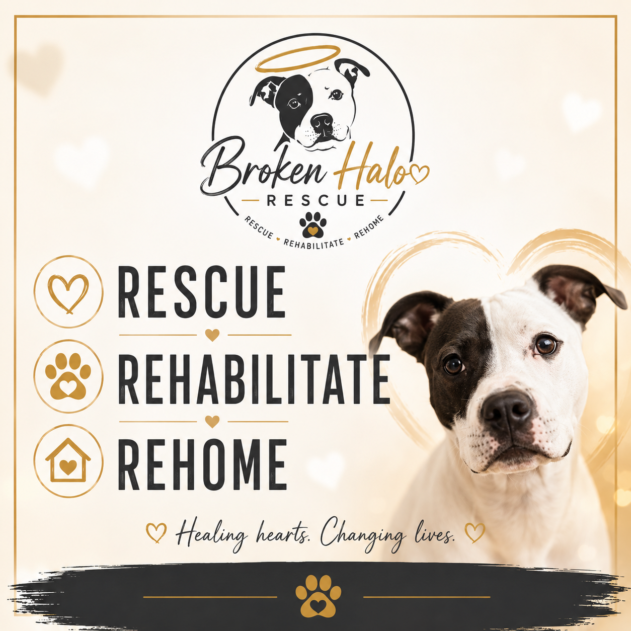 Rescue, rehabilitate and rehome icons