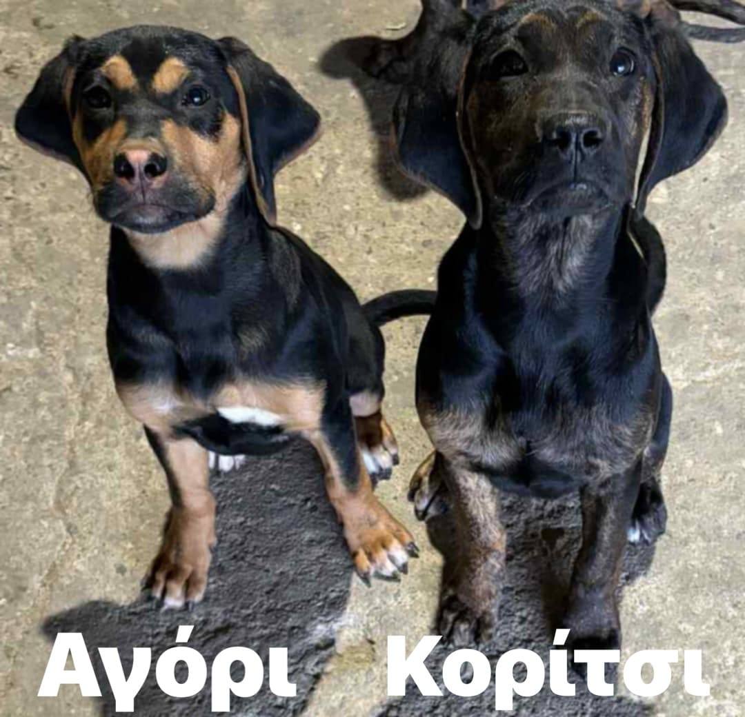 Agóri and Korítsi together